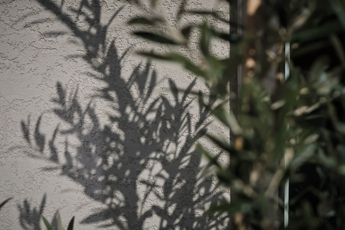 展示場・モデルハウス［イメージ］