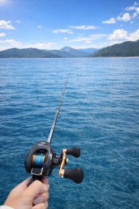 釣りを楽しみ旬をいただく