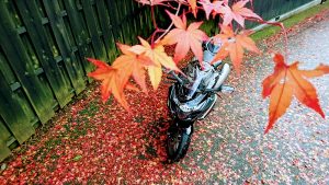 バイクに乗って出かけたりします