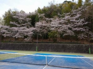 テニスコート
