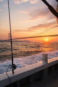 朝まずめ　明石海峡大橋