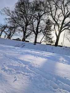 大雪の日の大好きな賀茂川