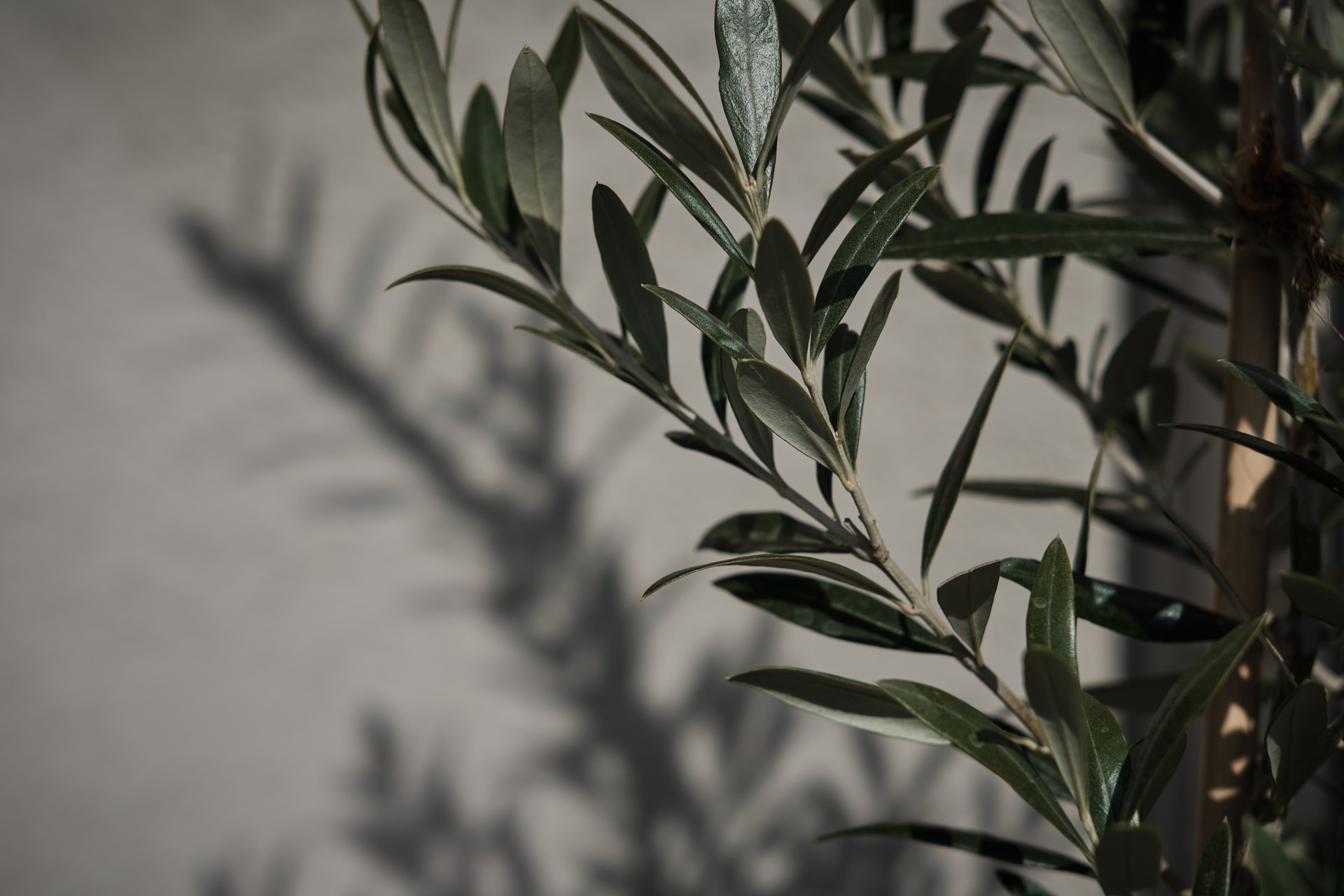 イベントイメージ