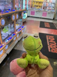 クレーンゲームで捕まえたカエル