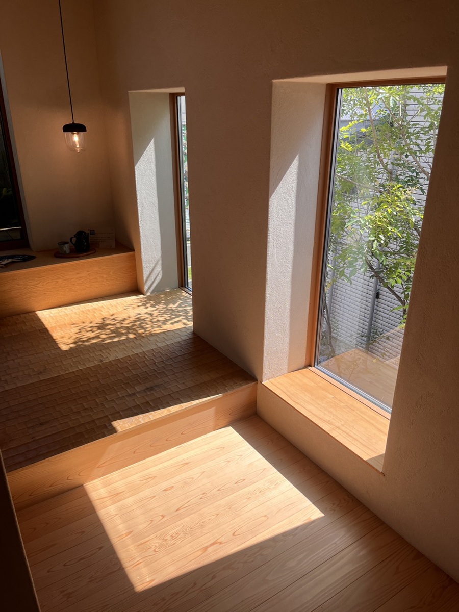 朝の陽ざし①