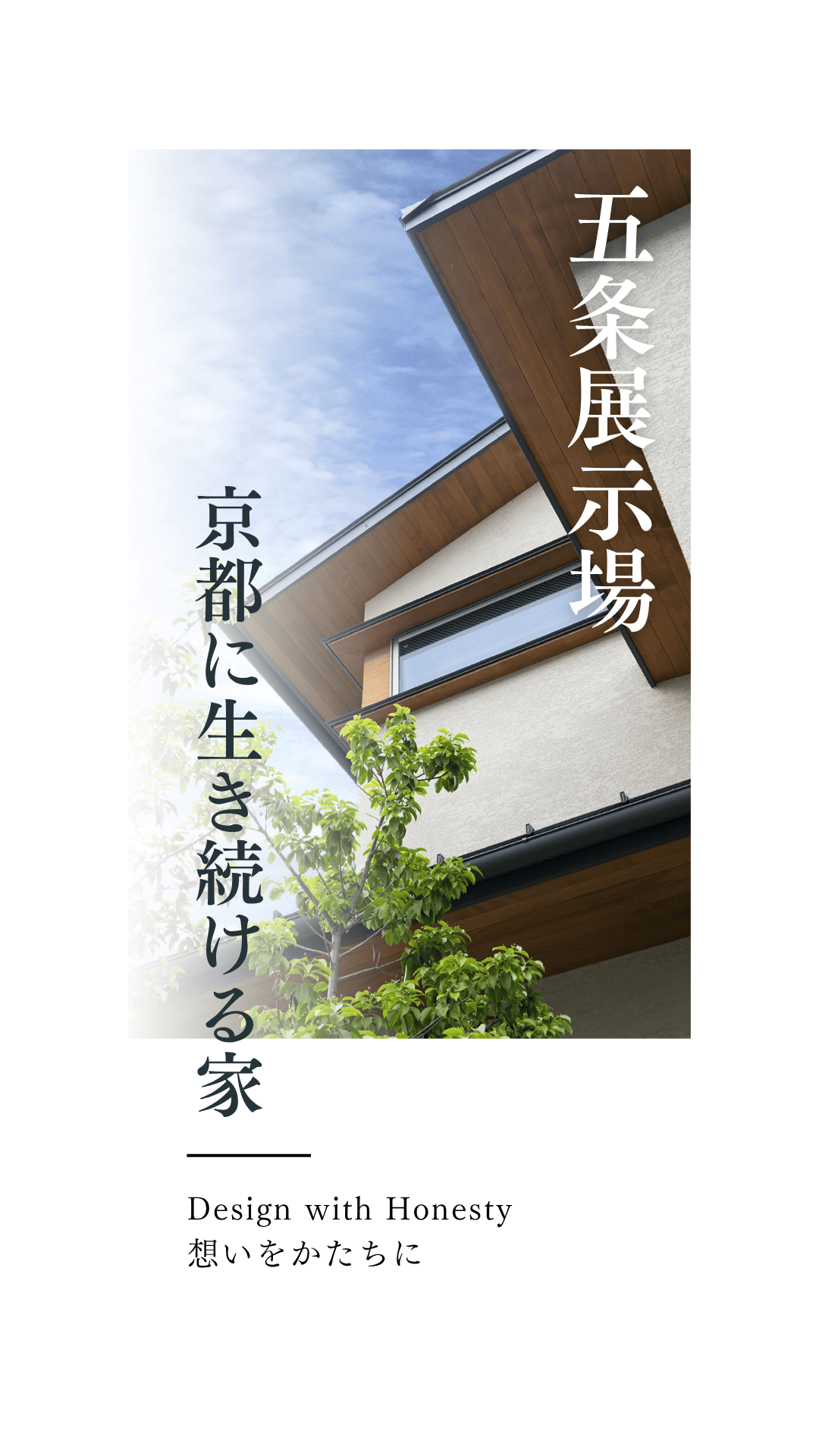 五条-1