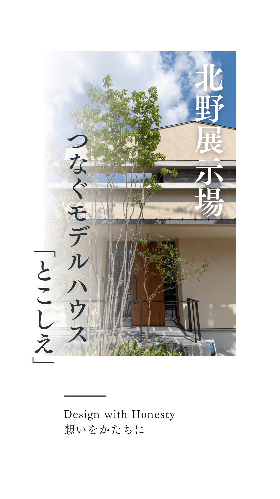 北野-1