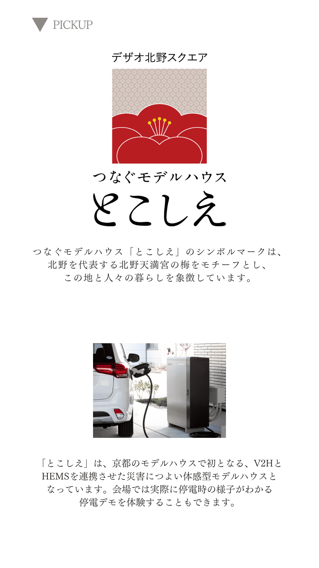 北野-9