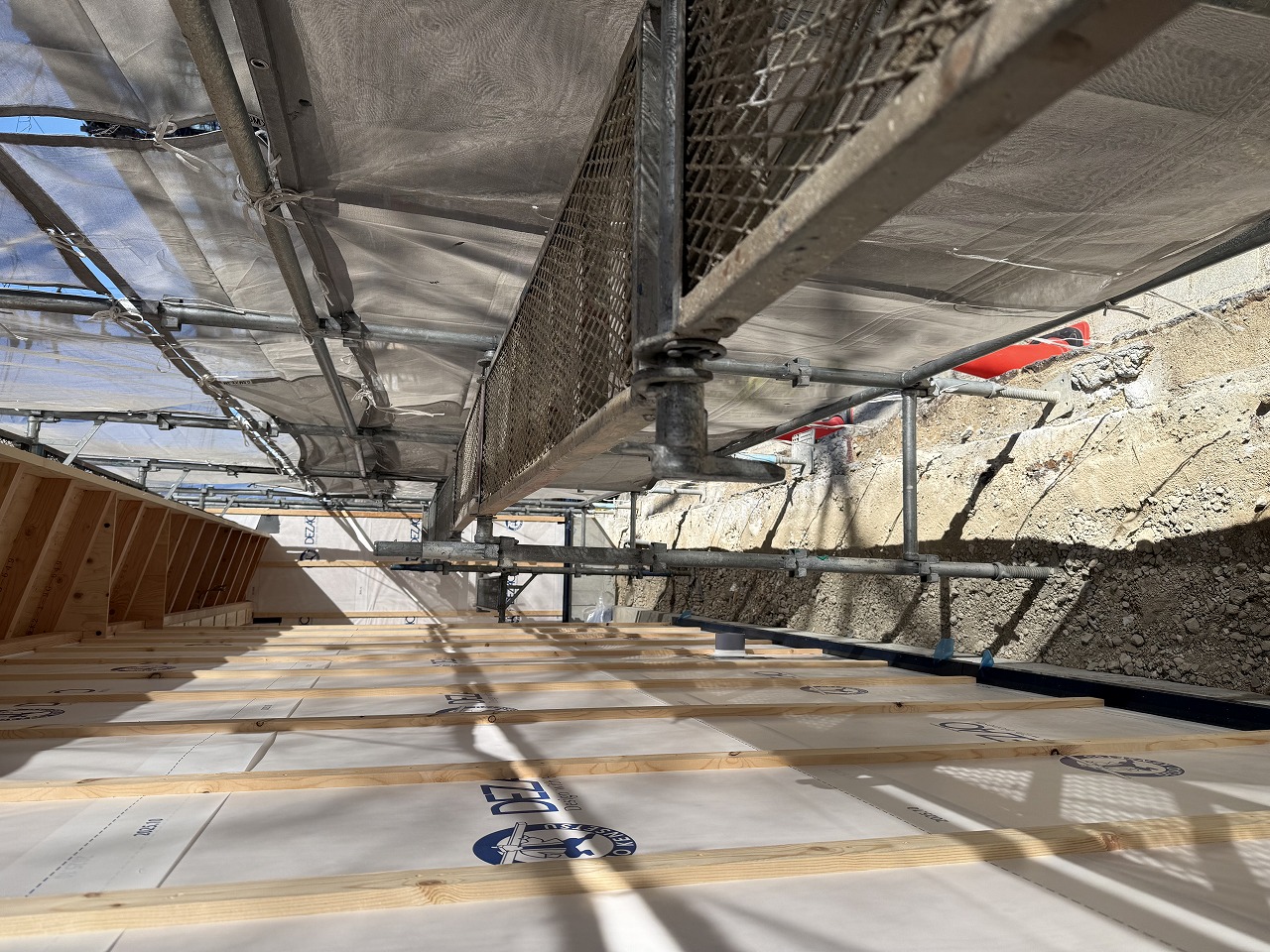 2026.3.17美化パトロール2