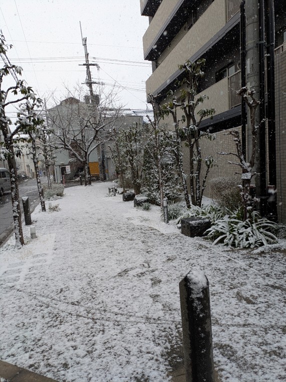 2026.2.10雪