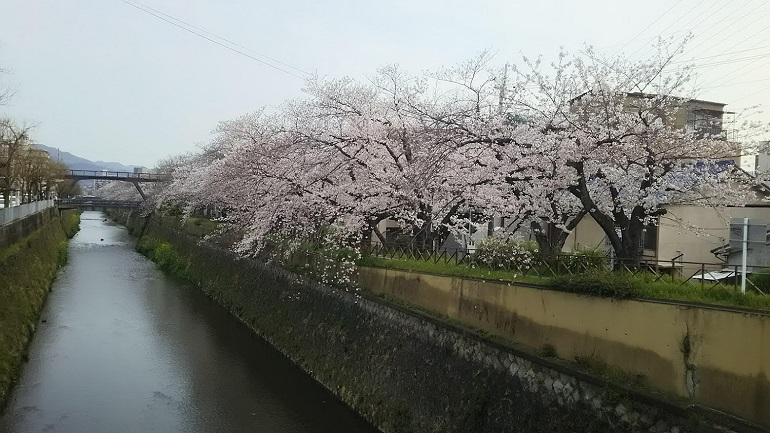 五条天神川