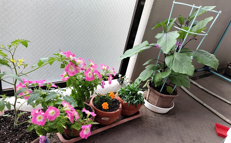 梅雨
