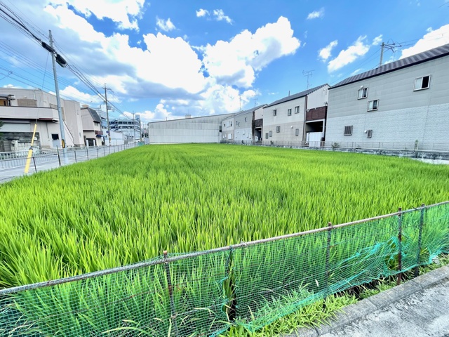 デザオ建設　注文住宅　建築用地　デザオ