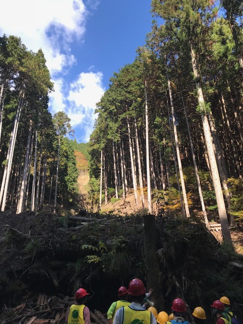 丹波　里山荒廃　台風被害　デザオ建設