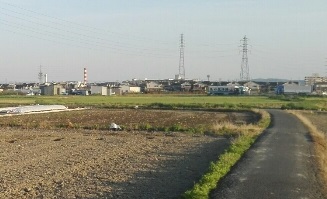 切り取りB