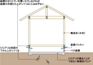 ベタ基礎はシロアリのバリア