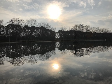 水にうつった写真