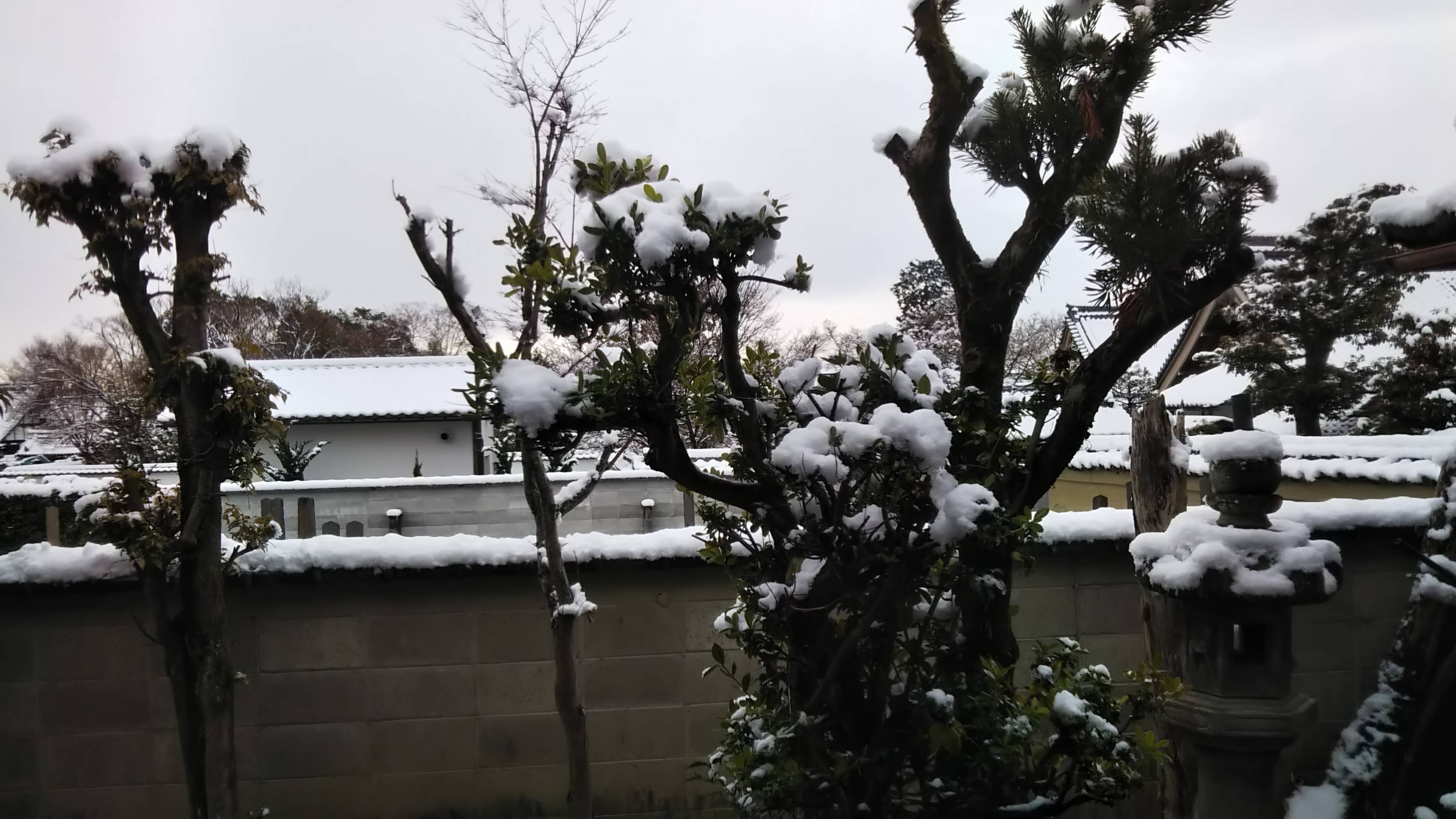 雪景色