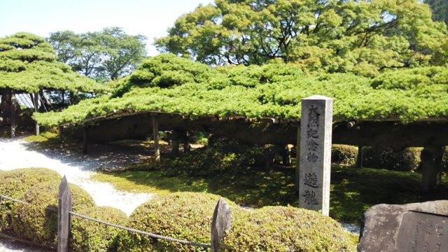 善峯寺