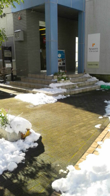 雪かき