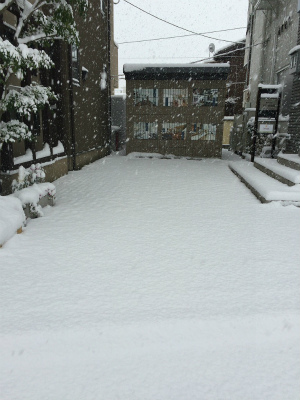 雪かき