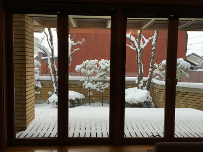 雪かき