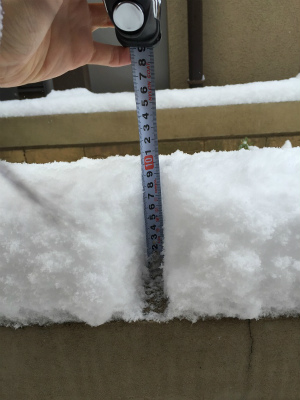 積雪量