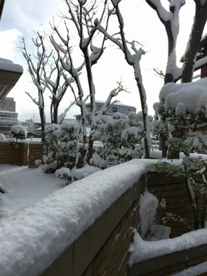 雪かき