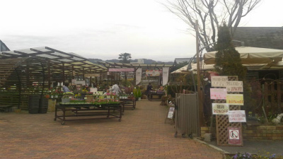 京都、休日